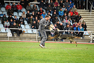 Hades vom Eisernen Kreuz