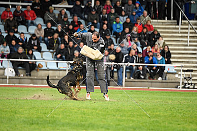 Hades vom Eisernen Kreuz