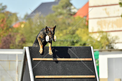 Hades vom Eisernen Kreuz