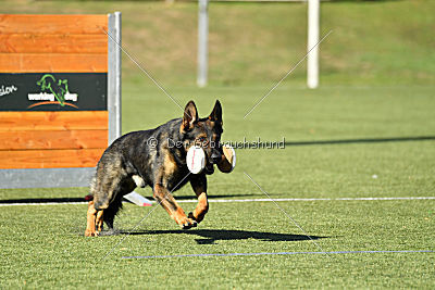 Hades vom Eisernen Kreuz