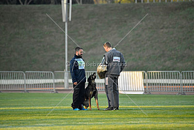 Hades vom Eisernen Kreuz