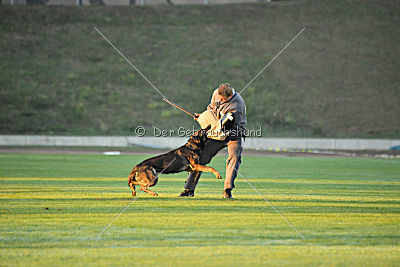 Hades vom Eisernen Kreuz