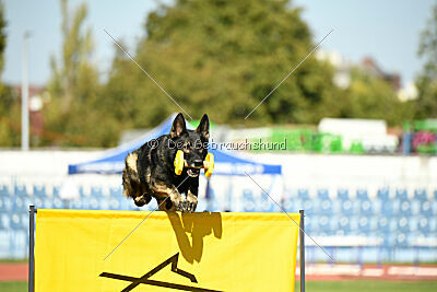 Hagrid Beauty of the Beast