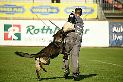 Haider Tempesta del Nordest