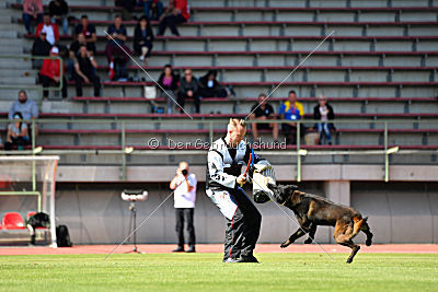 Halden NPA Detection Dog