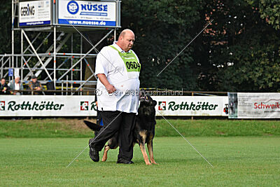 Hank vom Haus Rasko