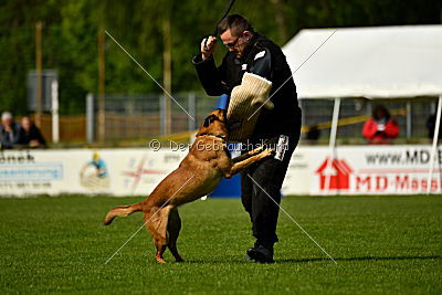 Hanni vom blauen Mistral