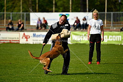 Hanni vom blauen Mistral