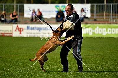 Hanni vom blauen Mistral