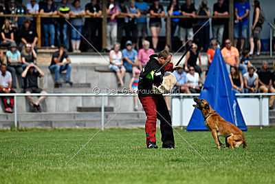 Hanni vom blauen Mistral