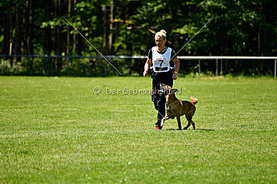 Hanni vom blauen Mistral