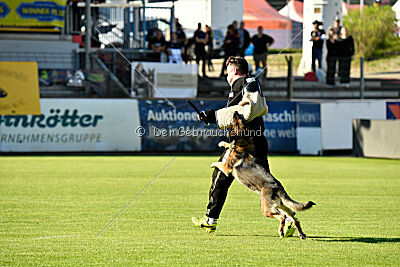 Hanuta vom schwarzen Rubin