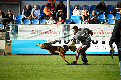 Haska vom Wolfsmoor