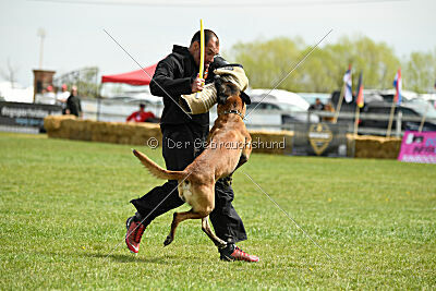 Hector vom Roten Sturm