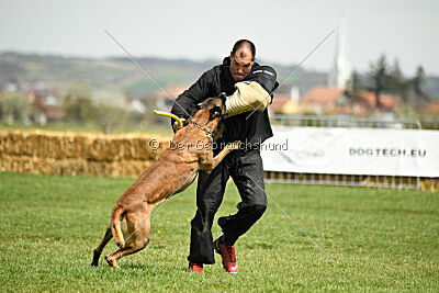 Hector vom Roten Sturm