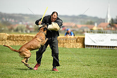 Hector vom Roten Sturm