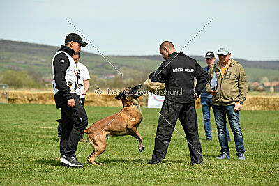 Hector vom Roten Sturm