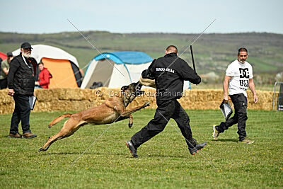 Hector vom Roten Sturm