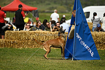 Hector vom Roten Sturm