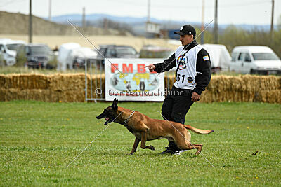 Hector vom Roten Sturm