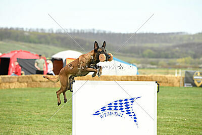 Hector vom Roten Sturm