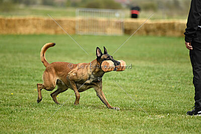 Hector vom Roten Sturm