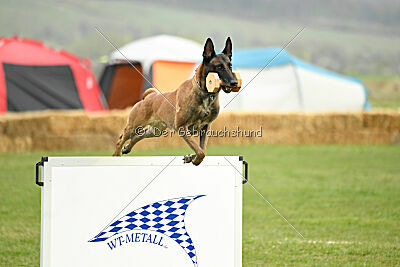 Hector vom Roten Sturm