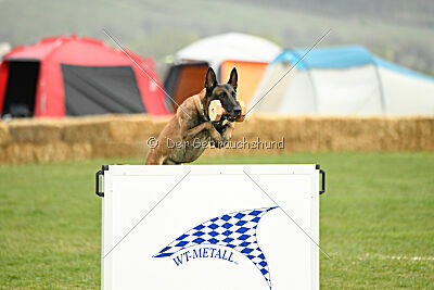 Hector vom Roten Sturm