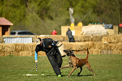 Hector vom Roten Sturm