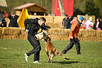 Hector vom Roten Sturm