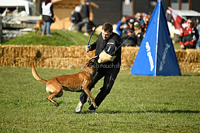 Hector vom Roten Sturm