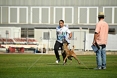 Hector vom Roten Sturm