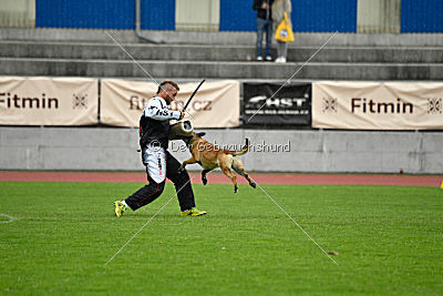 Heizia du Domaine de Rossfelden