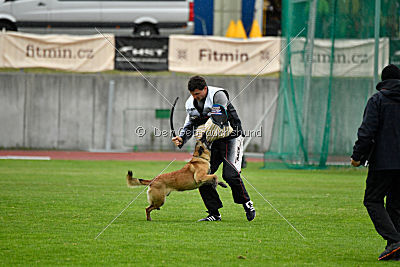 Heizia du Domaine de Rossfelden