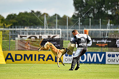 Heizia du Domaine de Rossfelden