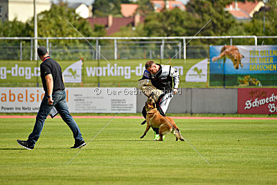Heizia du Domaine de Rossfelden