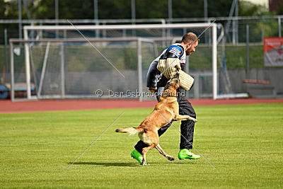 Heizia du Domaine de Rossfelden