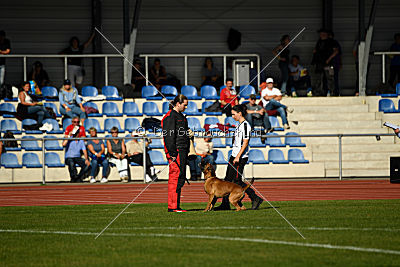 Helge vom Wümminger Hof