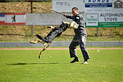 Hellboy von der schwarzen Irma