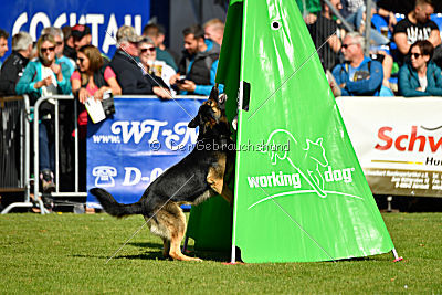 Hellboy von der schwarzen Irma