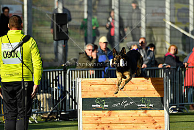 Hellboy von der schwarzen Irma