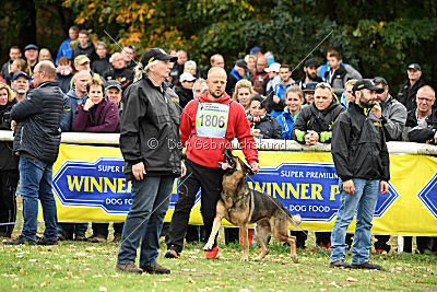 Henrik vom Wolfsheim