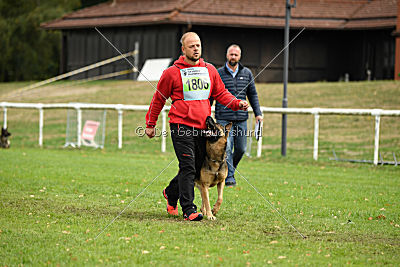 Henrik vom Wolfsheim