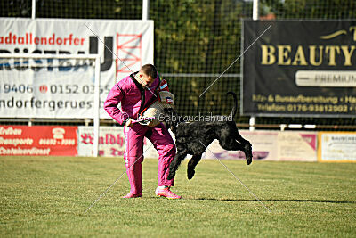 Hermann von der Schönburg