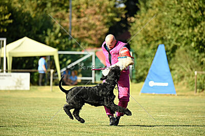 Hermann von der Schönburg