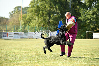 Hermann von der Schönburg