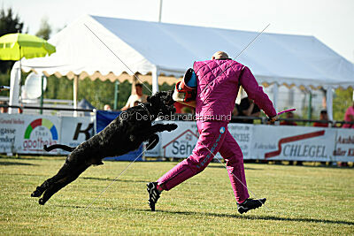 Hermann von der Schönburg