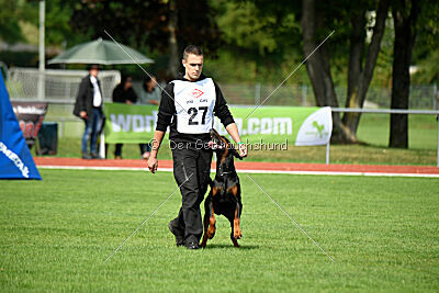 Hermanus of the Two Roses