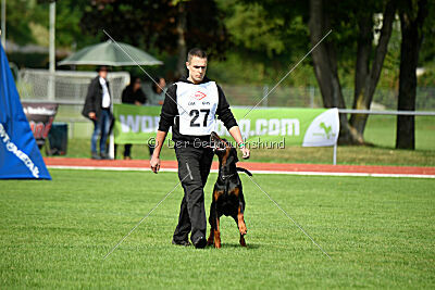 Hermanus of the Two Roses