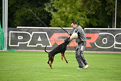 Hermanus of the Two Roses